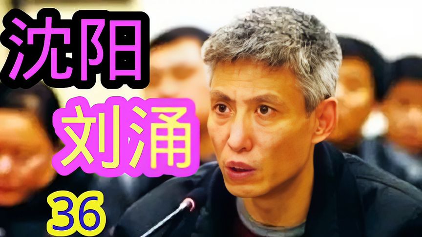 沈阳刘涌第三十六集(张凡的大奔028)-影视综视频-搜狐视频