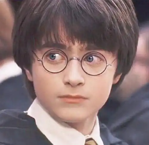 哈利波特头像