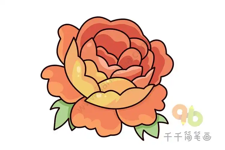 牡丹花简笔画简单易学_花朵