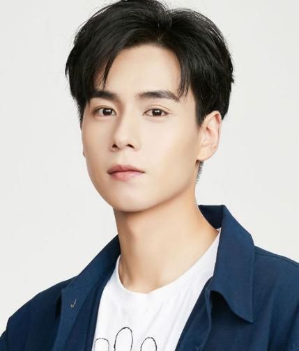 内娱八位高颜值男星,谁的颜值最养眼?|许凯|龚俊|任嘉伦_新浪新闻