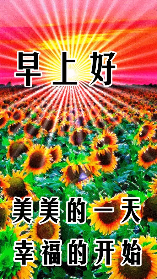 11月4日最漂亮早上好动态表情图片大全早晨好动图美图大全