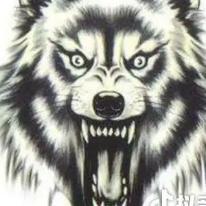 狼牙头像