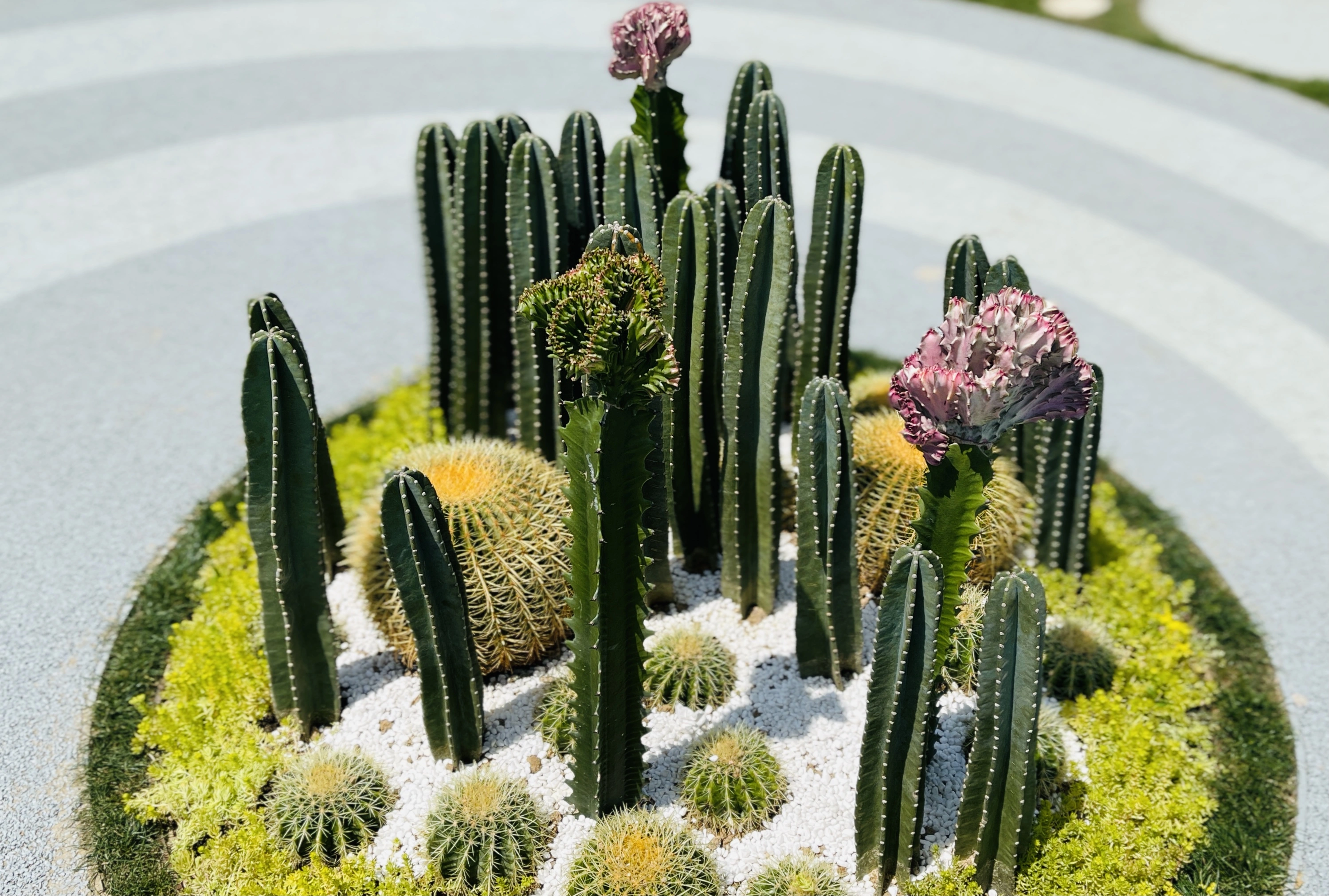 2021年扬州世界园艺博览会世园会一日门票送卡通扇从3号门进上午8点