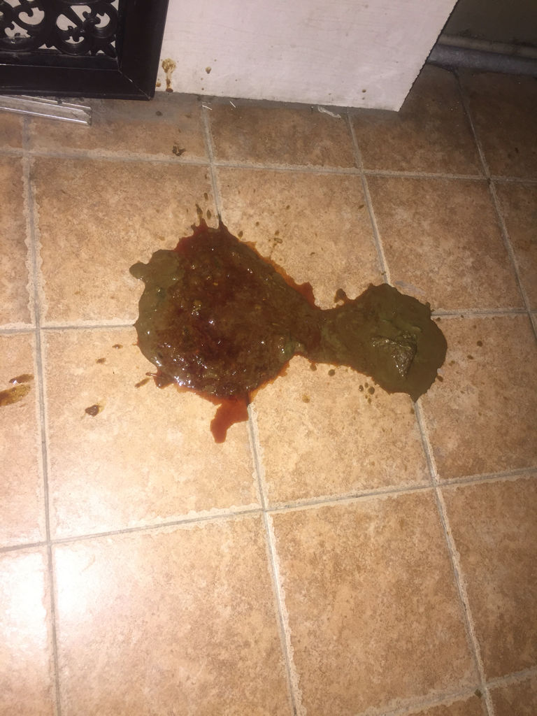 疫苗都做完了的,昨天都还好好的,今天就突然拉稀了,跟水似的,没敢给它