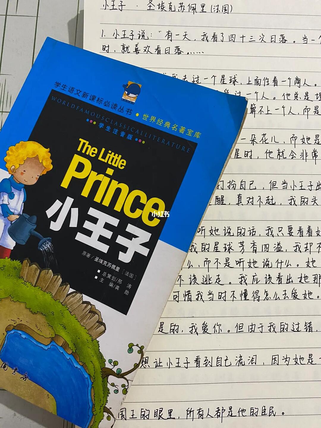 小王子～全世界最令人喜爱的一本书