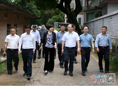 何春明到兴国县西江村调研医院乡村振兴帮扶工作