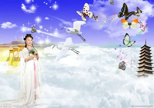 【引用】昙花一现只为韦陀