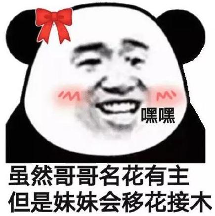 暴漫 熊猫头 虽然哥哥名花有主但是妹妹会移花接木 搞笑 逗 沙雕