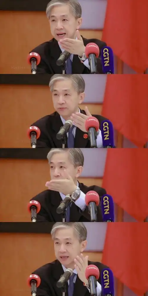 汪文斌理想型男神吖