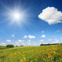 美丽的大草原阳光风景头像_微信头像图片大全