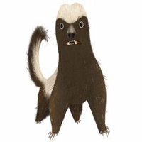 平头哥蜜獾图片头像_微信头像图片大全