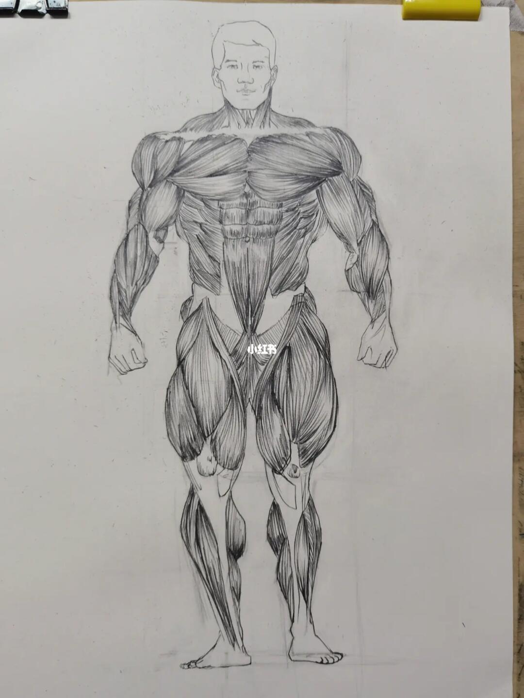 画画打卡  #肌肉  #肌肉结构  #肌肉男孩  #素描  #人体素描