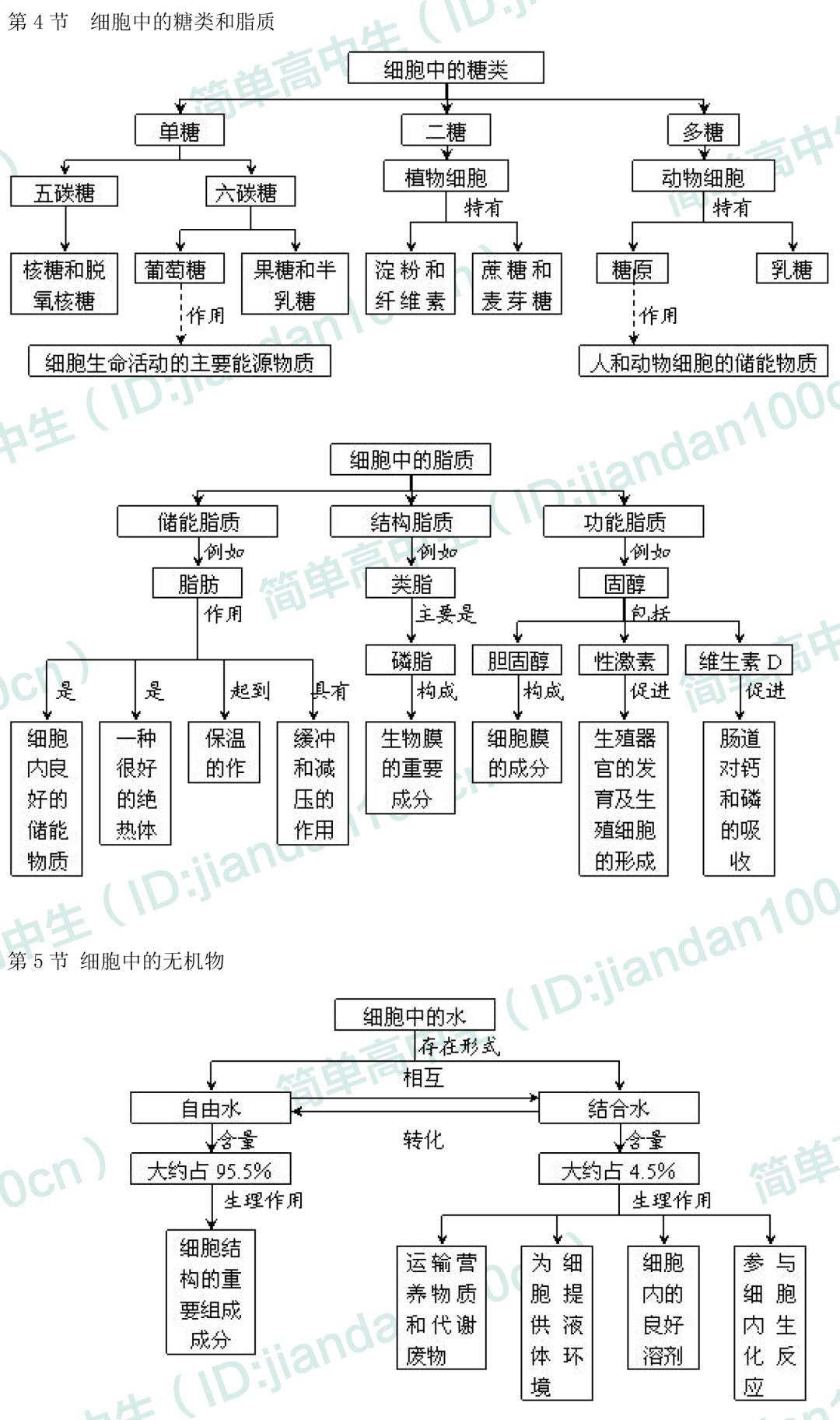 高中生物必修一概念图汇总,敢说你不需要吗?