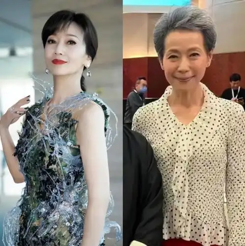 69岁赵雅芝对比60岁叶童,自然老去和医美老去的差距一目了然_seo技术