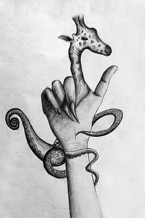 学生"创意素描——动物"作品集!