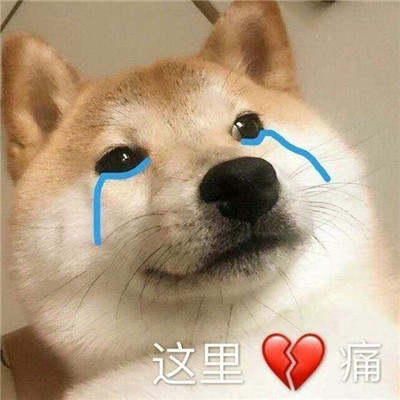 实用性很高的热门表情包图片