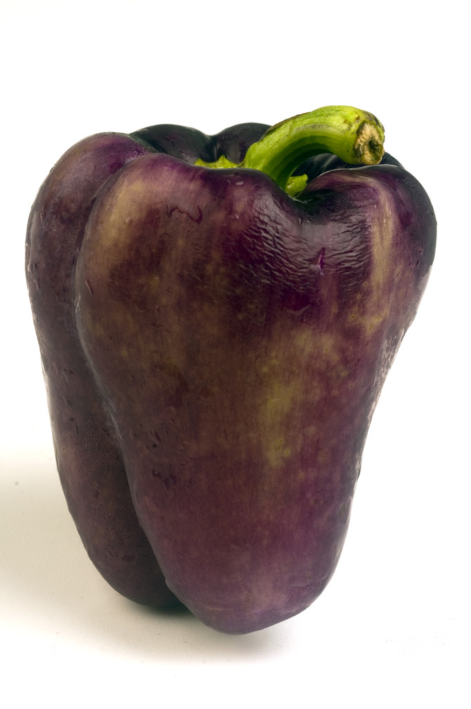 紫色甜椒,在白色背景上辣椒黄绿苗胞质紫色贝尔