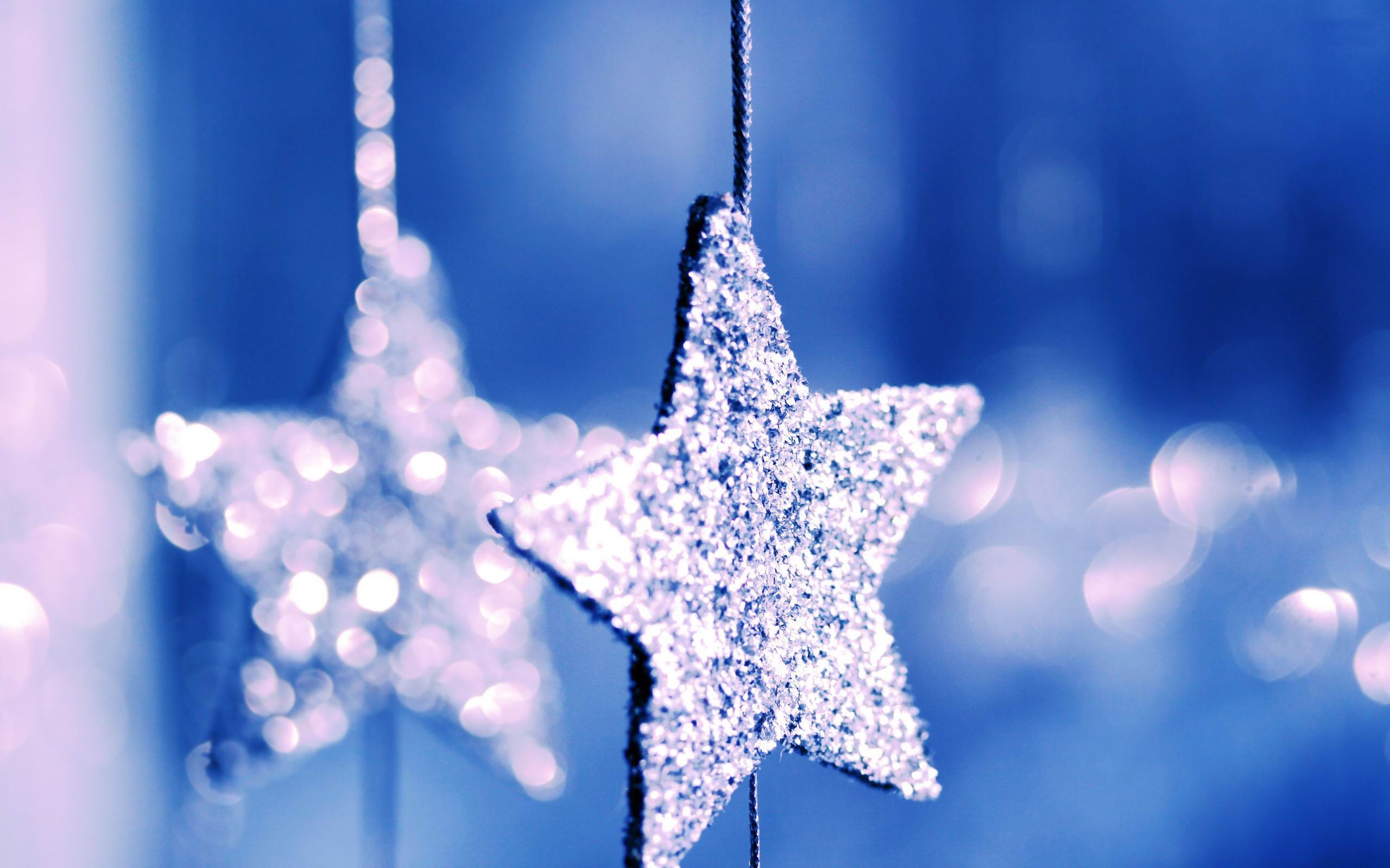 描述: 闪闪发光的星星-摄影宽屏壁纸 当前壁纸尺寸: 2560 x 1600