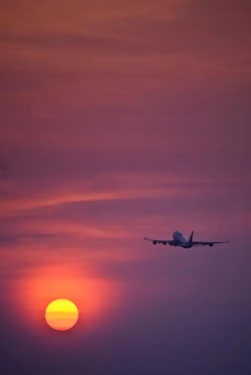 飞机,飞机,起飞,着陆,日落,飞行,飞