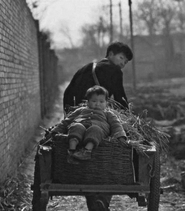 80年代老照片:图四是深圳拆迁大妈,图六有气质,最后一张很暖心