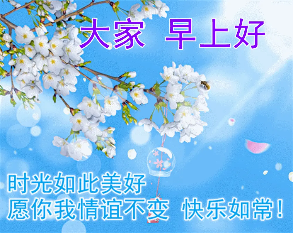 原创8张夏日最美早上好动态图片带字和鲜花创意好看的夏日清晨早安