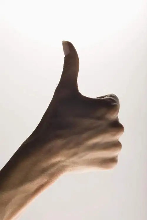 仅一个年轻女性,仅一个女性,仅一个人,突出,称赞,表扬,背面,手势,手部