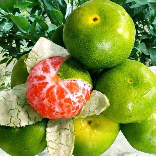 【ly】青桔3斤 - 世纪生活