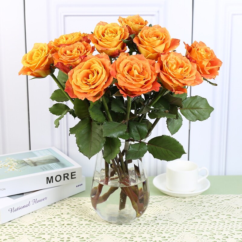 活泼的橙色系欢乐颂玫瑰花鲜花云南直发奥斯汀花型玫瑰水养鲜切花