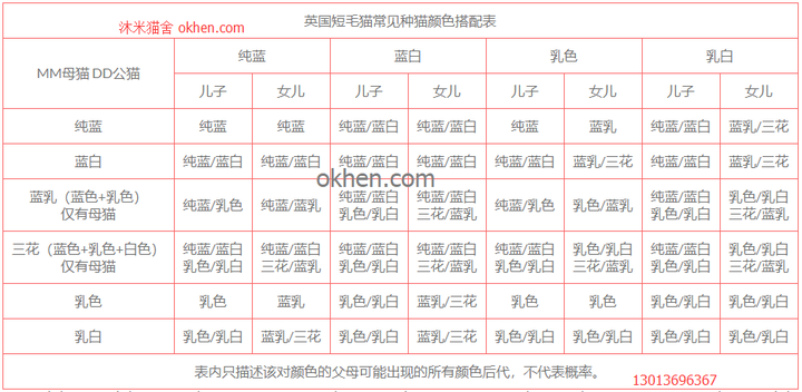 英国短毛猫繁育配色相关问题 英国短毛猫繁殖搭配后带颜色表格和介绍
