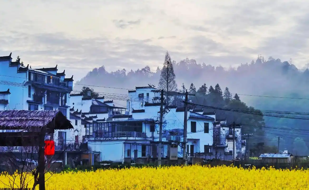 婺源,被称为"最美的乡村",这里的油菜花也显得更为诗意.远处 - 抖音