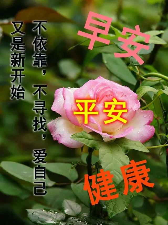 7张夏日创意唯美早上好祝福语图片大全免打字 2021夏日清晨早安问候语