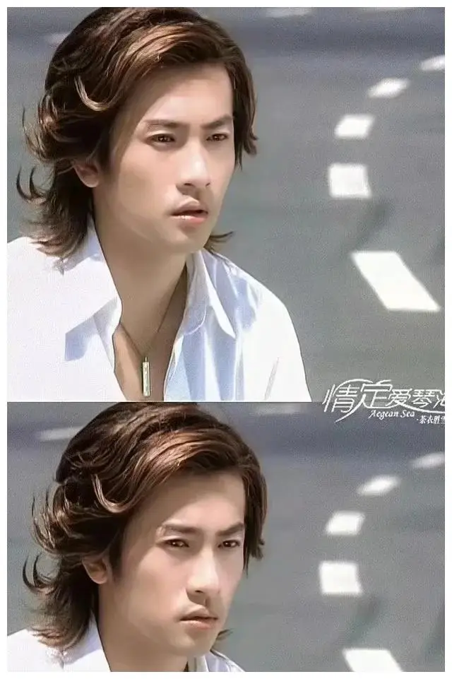 苏有朋:颜值与演技并存,不老男神的魅力所在,单身贵族之选!