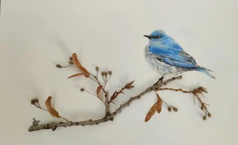 春天第一只小鸟丨枯枝也能变成画丨笔记灵感