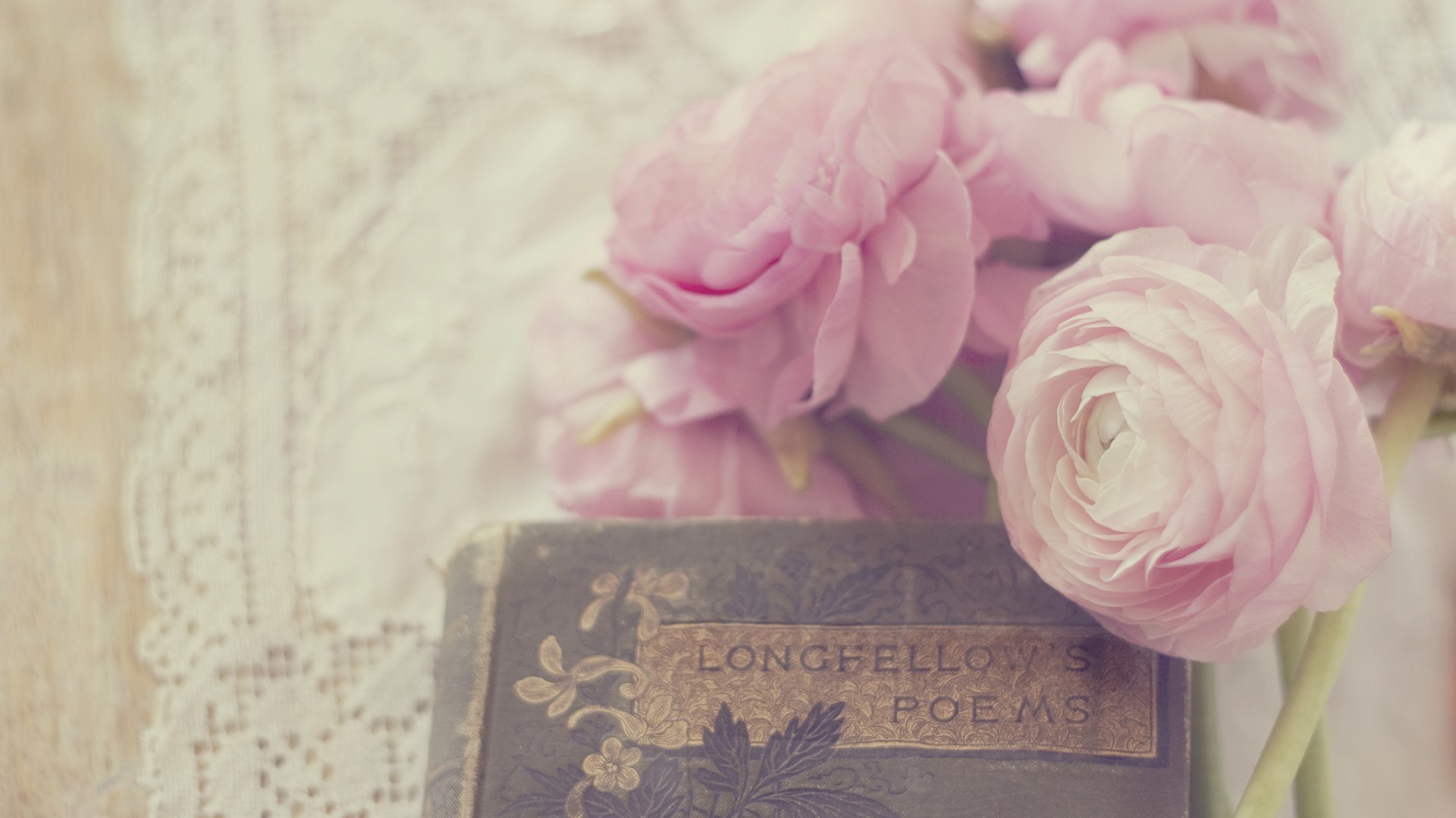 书香一瓣唯美温馨高清壁纸