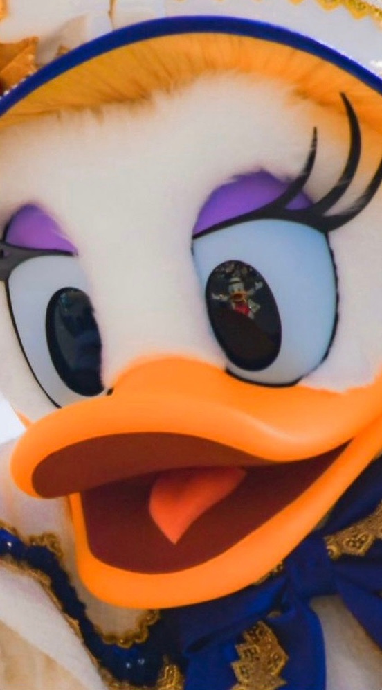 看看黛西的左眼吧,超可爱!#黛西的左眼