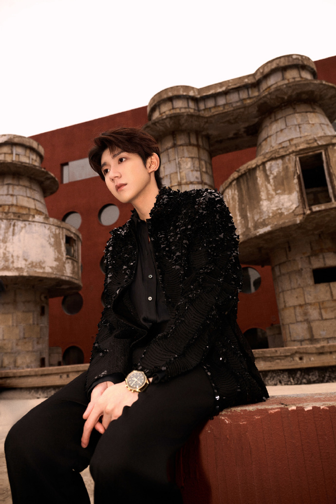 贺峻霖)王源 邓为 王鹤棣 朱一龙  白敬亭 吴磊 井柏然 檀健次 华晨宇