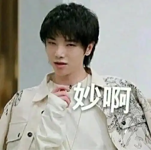 华晨宇沙雕表情包