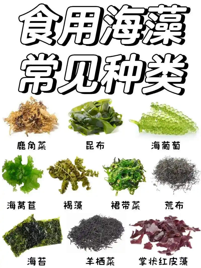 这么多种可食用的海藻,你吃过哪些71|||7415 - 抖音