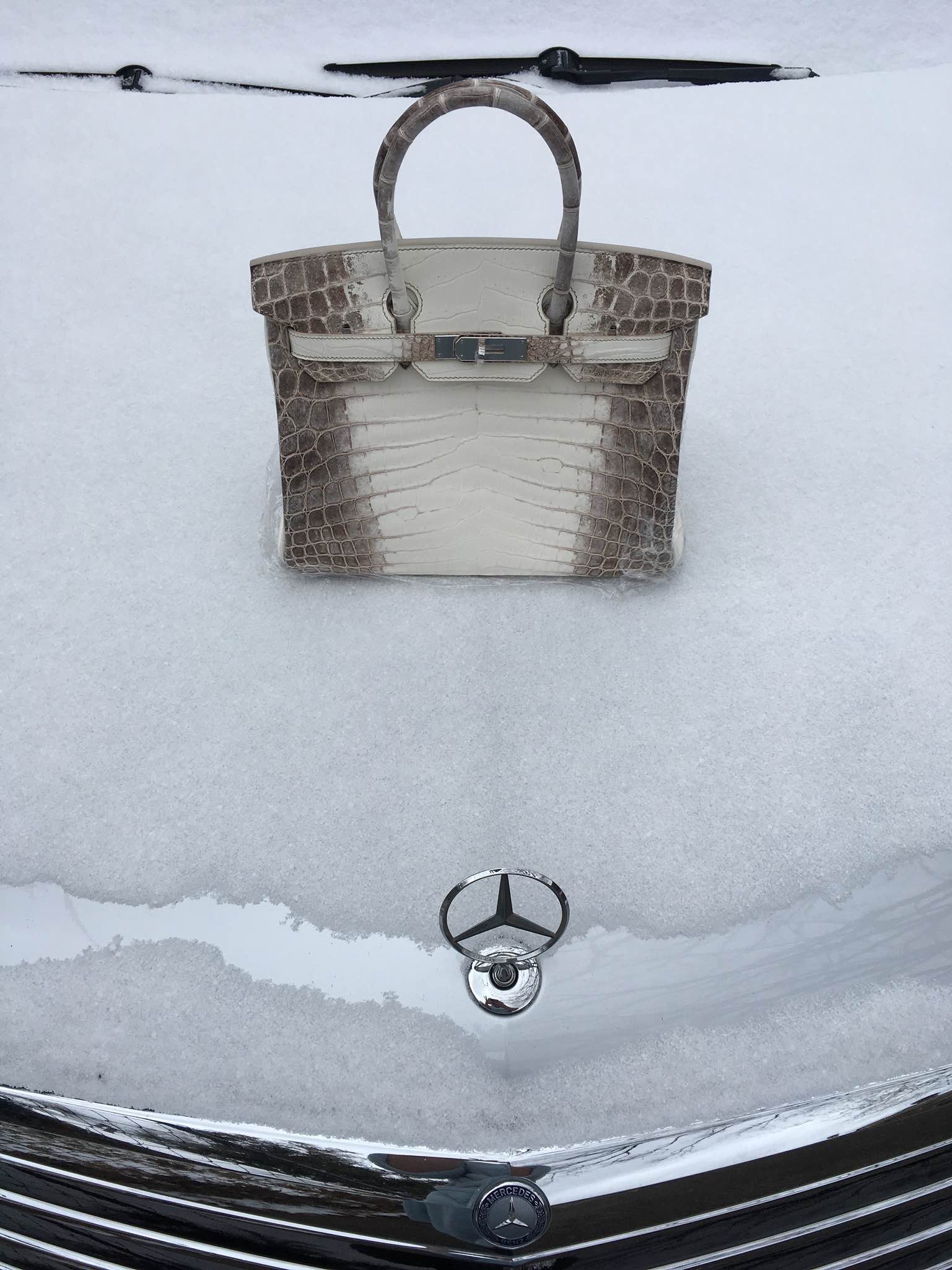 鳄鱼皮包(爱马仕铂金喜马拉雅全世界限量三个) - 爱玛仕喜马拉雅包