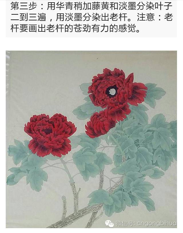 洛阳美协花鸟画艺委会副主任;洛阳美协工笔画艺委会副主任;洛阳国画院