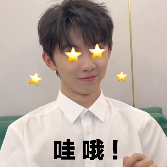 #马嘉祺表情包#