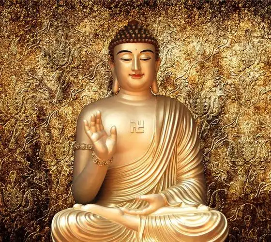 释迦牟尼佛简史_佛教历史