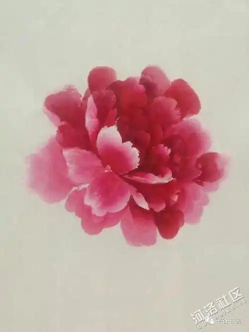 牡丹花头的详细画法