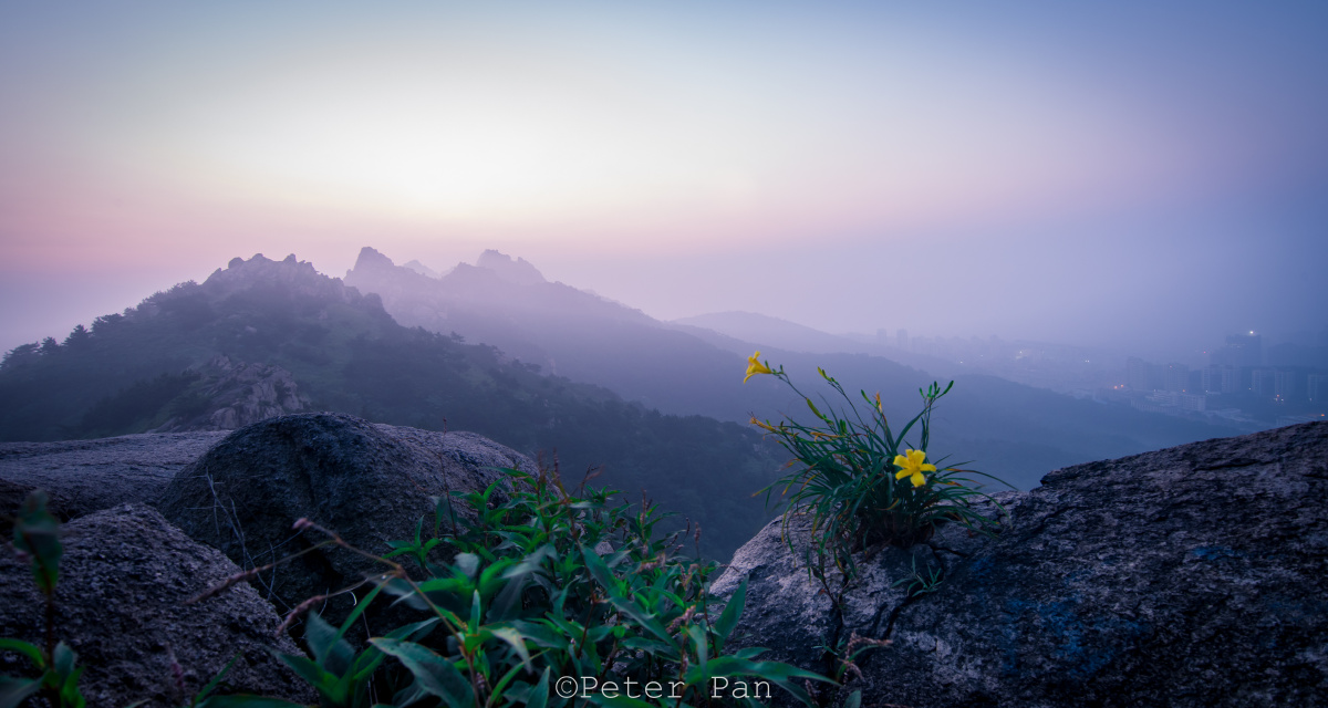 的这株忘忧草的相遇绝对算是个惊喜,她很好的诠释了什么叫耐得住寂寞