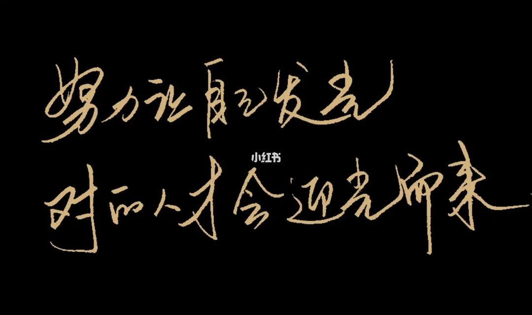 手抄32‖努力让自己发光,对的人会迎面而来