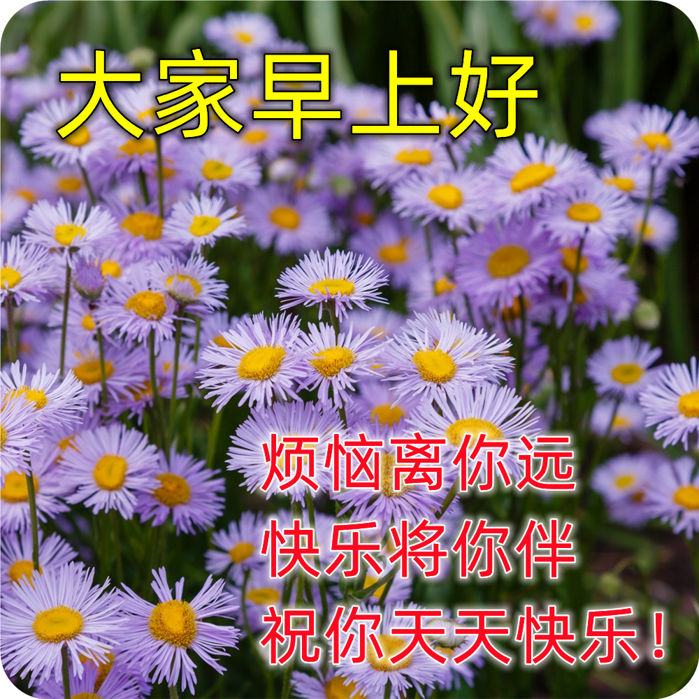 最漂亮的早上好问候图片,最新最美早安问候语