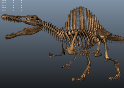 棘龙 埃及棘龙 古生物化石 恐龙博物馆 地质博物馆 恐龙化石骨架 3d