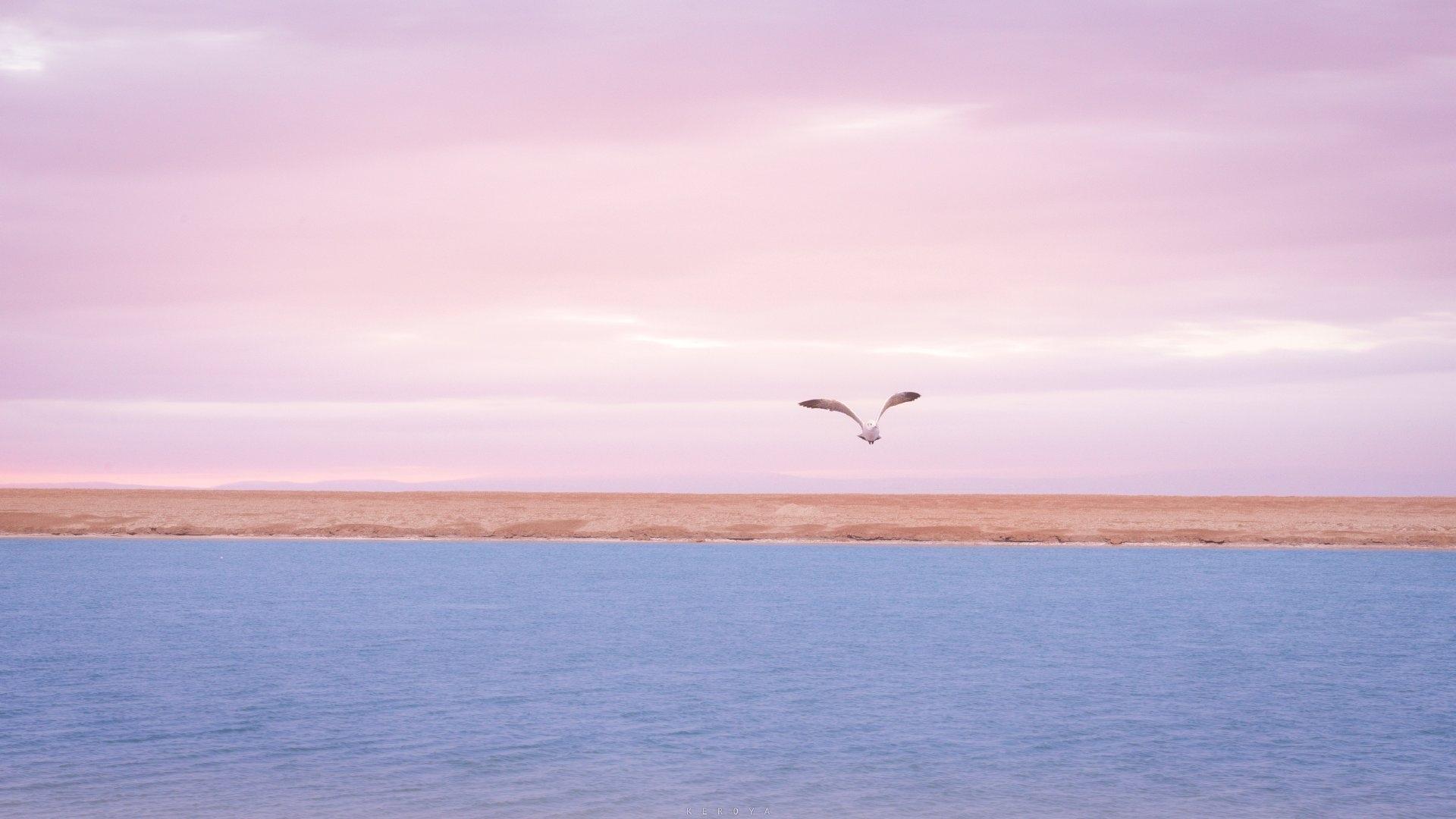 日落前茶卡的温柔浪漫治愈系美景,高清图片-壁纸族