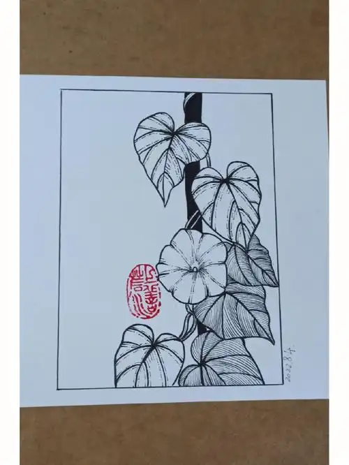 画画  #绘画  #针管笔绘画  #黑白线描  #牵牛花  #黑白线描