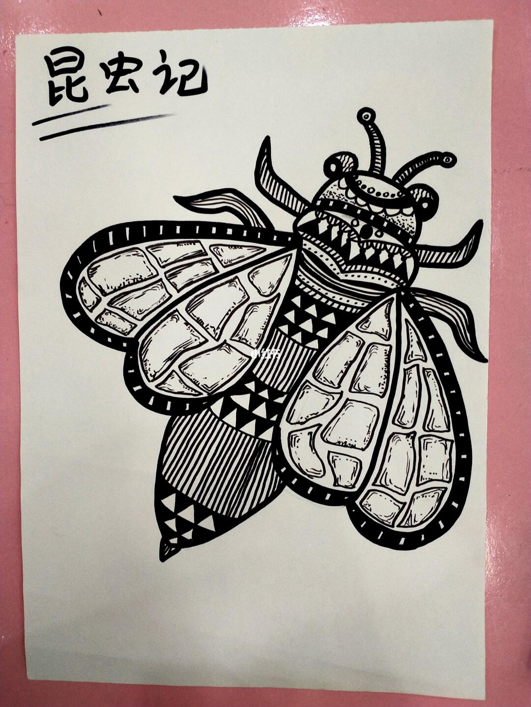 昆虫记黑白线描
